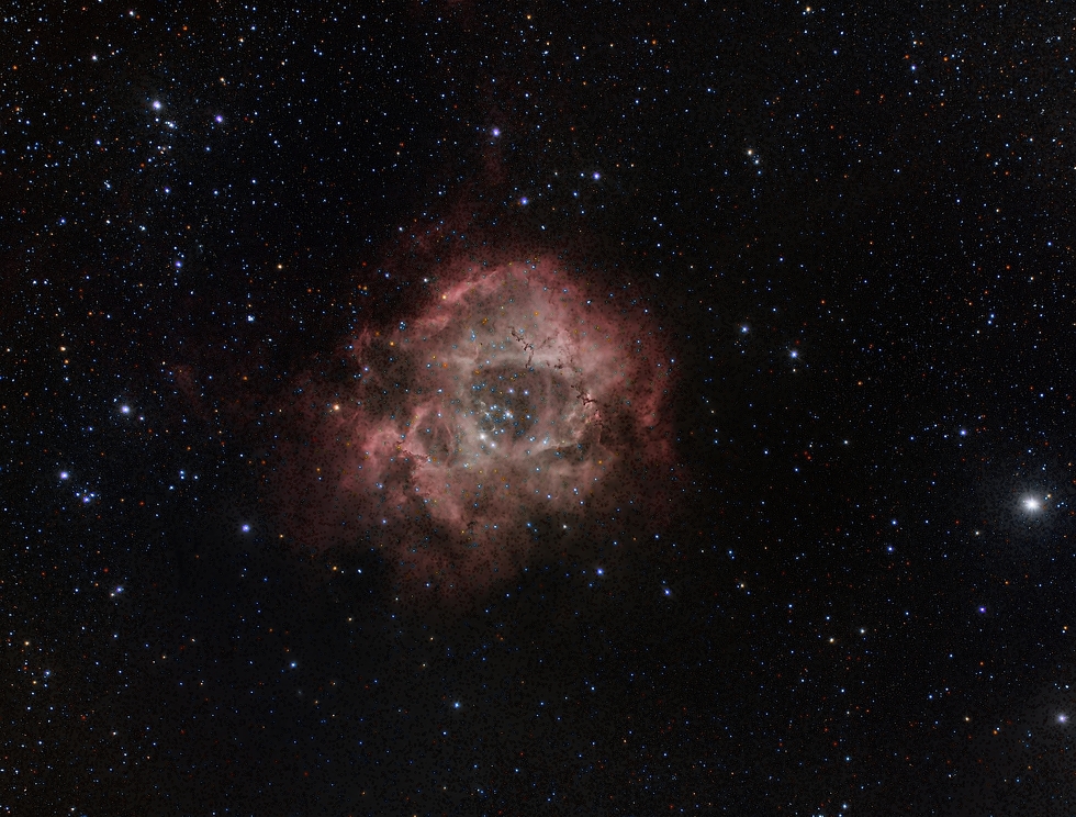 Rosette Nebula floating in the Milky Way star field.