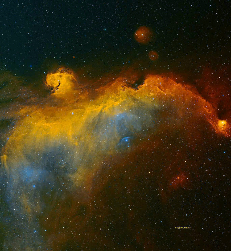 Seagull Nebula (Reprocess) 