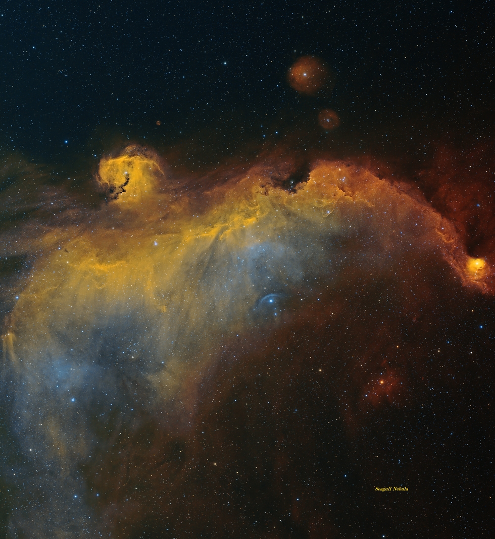 Seagull Nebula (IC2177)