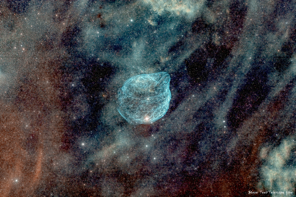 The Dolphin Nebula (Sh2-308) Region