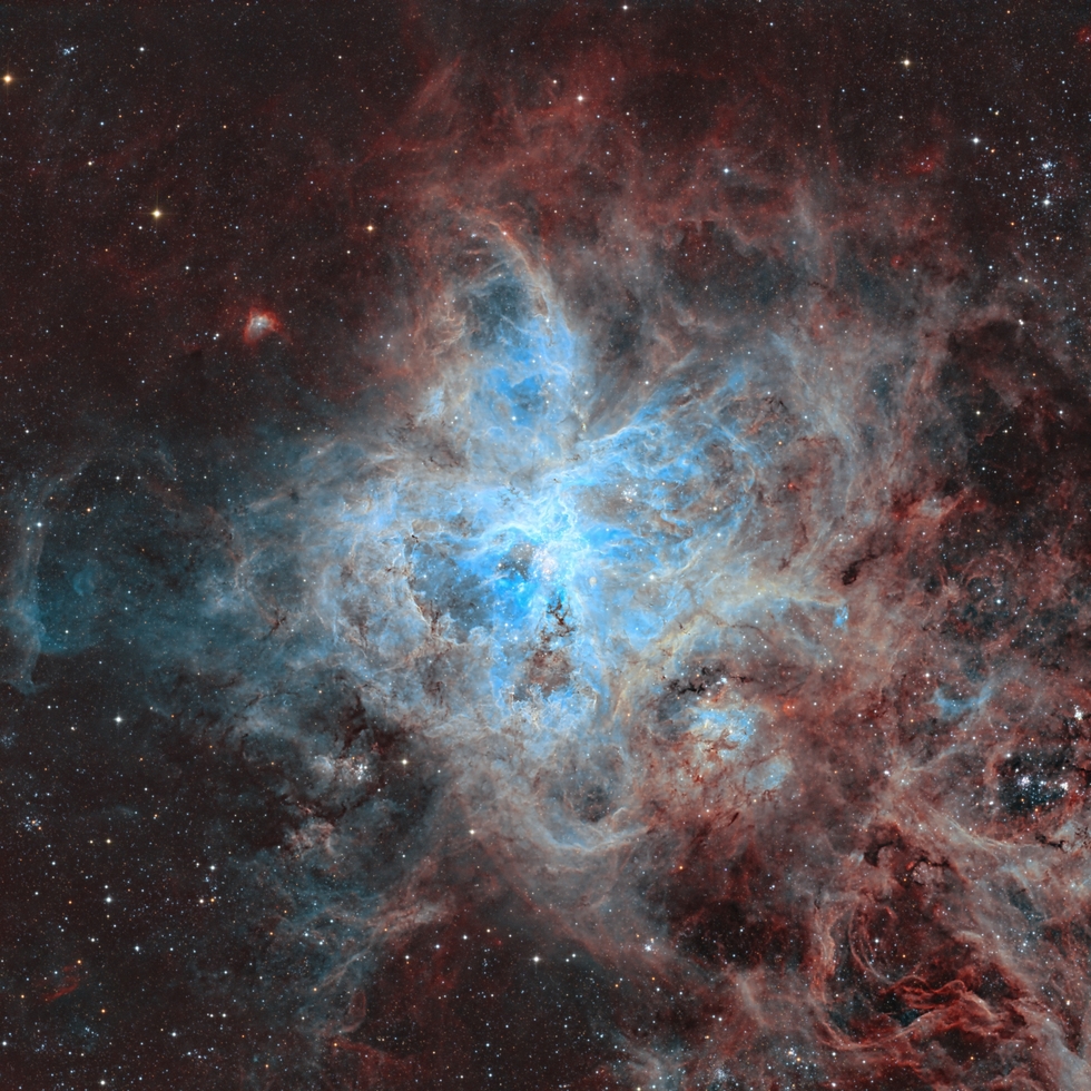 The Tarantula Nebula in narrow band filters