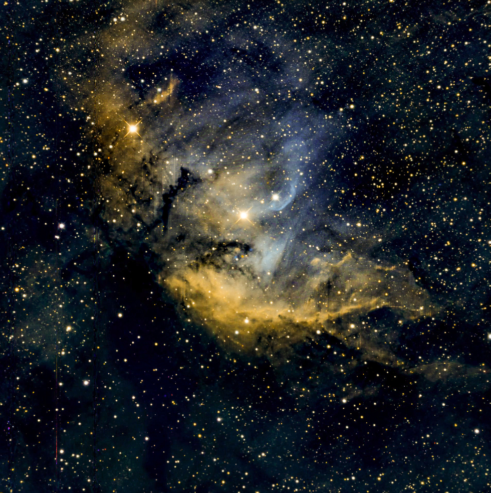 Tulip Nebula 