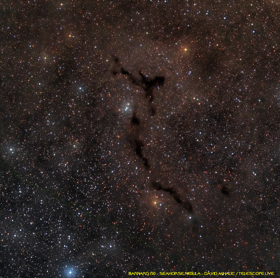 Barnard 150 - Seahorse Nebula