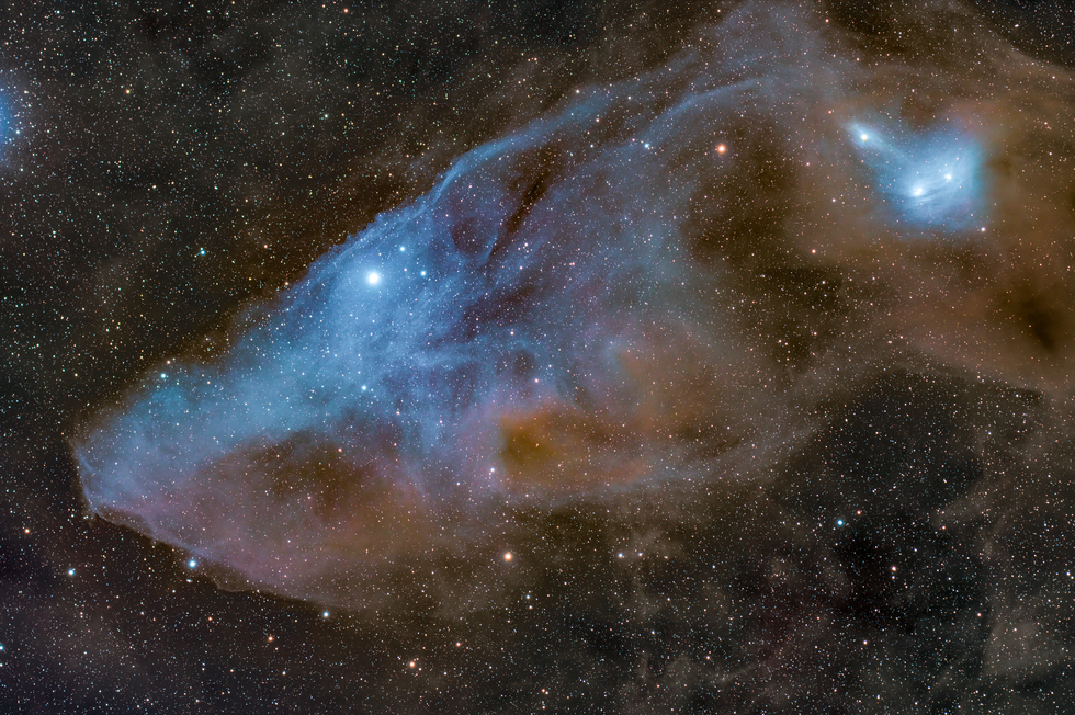 The Blue Horsehead Nebula
