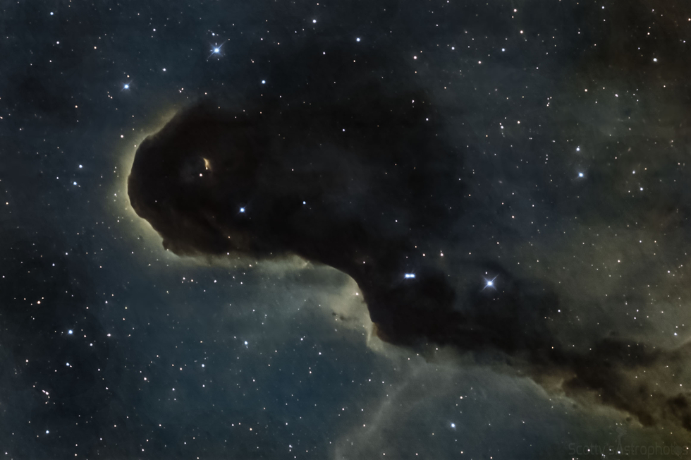 Elephant Trunk Nebula in SHO