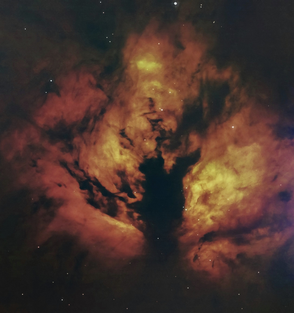 Flame Nebula (NGC 2024)