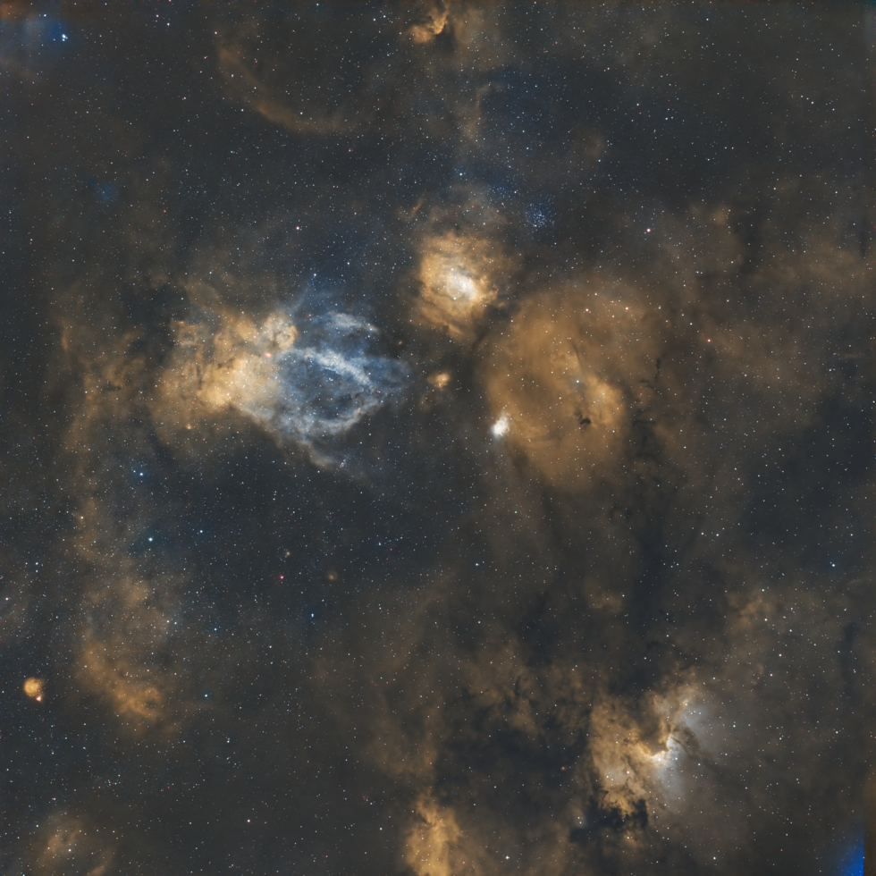 CEPHEUS WIDEFIELD