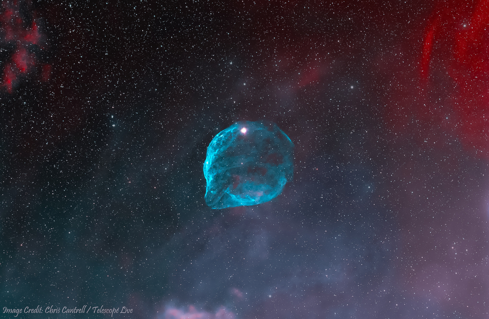 Sh2-308 Dolphin Head Nebula