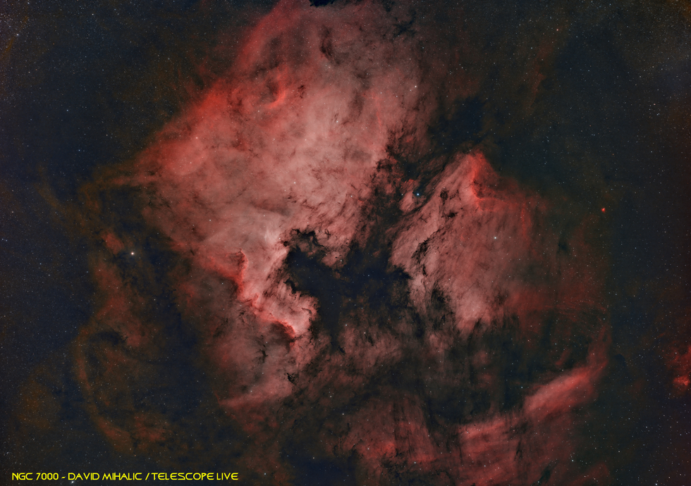 NGC 7000  - N. American & Pelican Nebulae