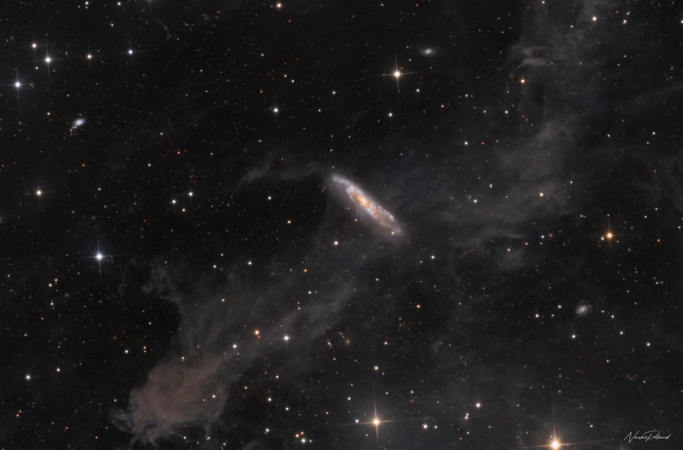 A Galaxy in the Dust - NGC 7497