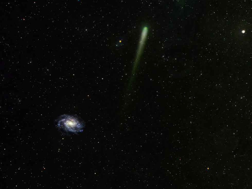 NGC 300 with Comet c2020 v2 ztf | Telescope Live