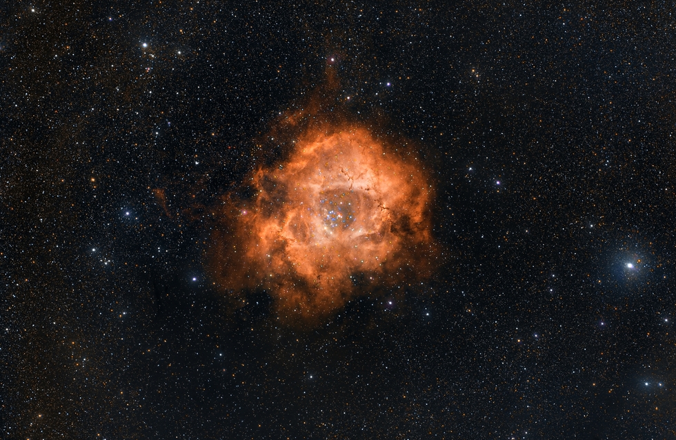 Rosette Nebula in the Milky Way star field