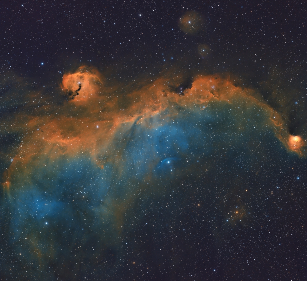 IC 2177 The Seagull Nebula