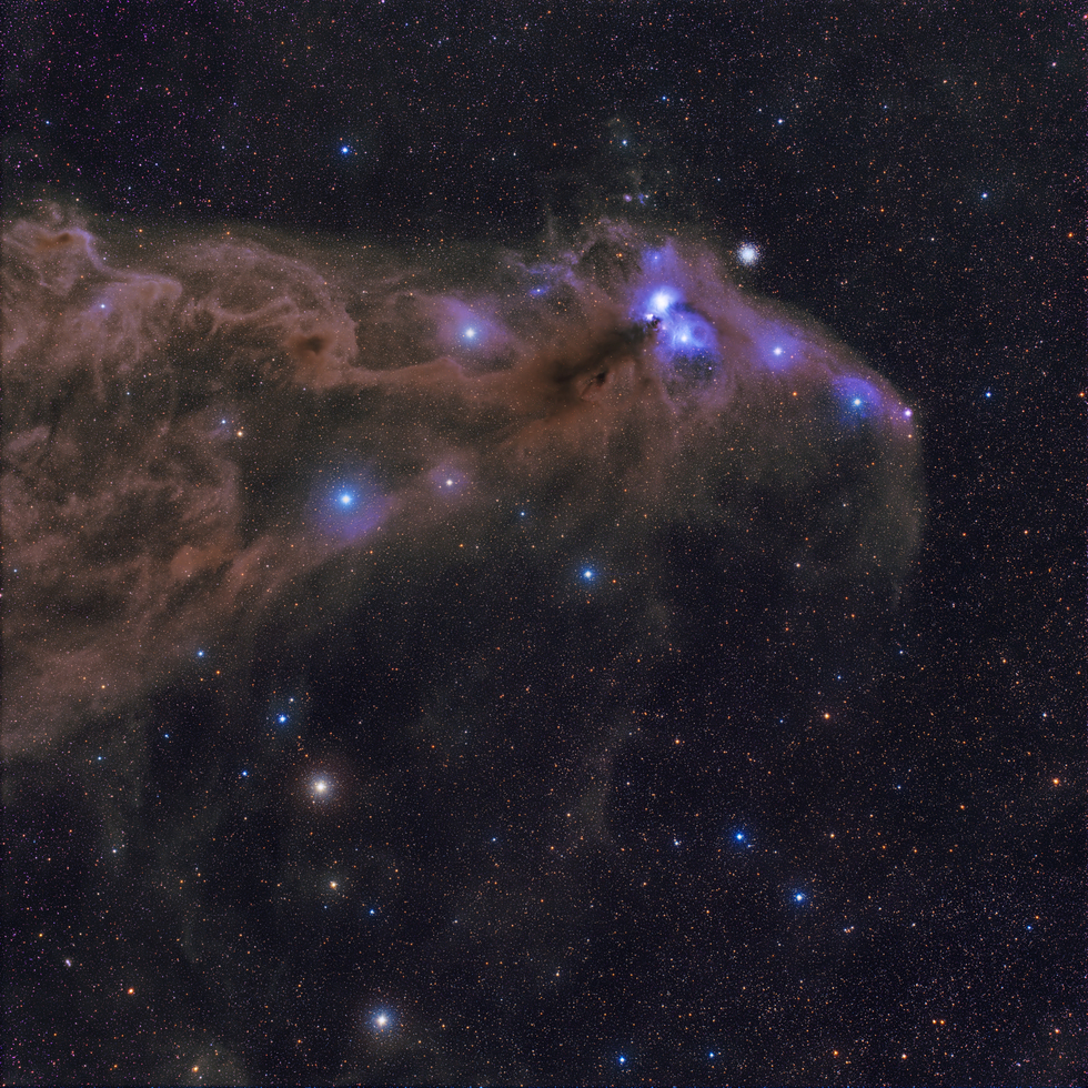 Corona Australis Molecular Cloud