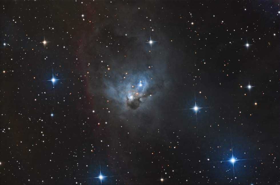 NGC 1788  reflection nebula 