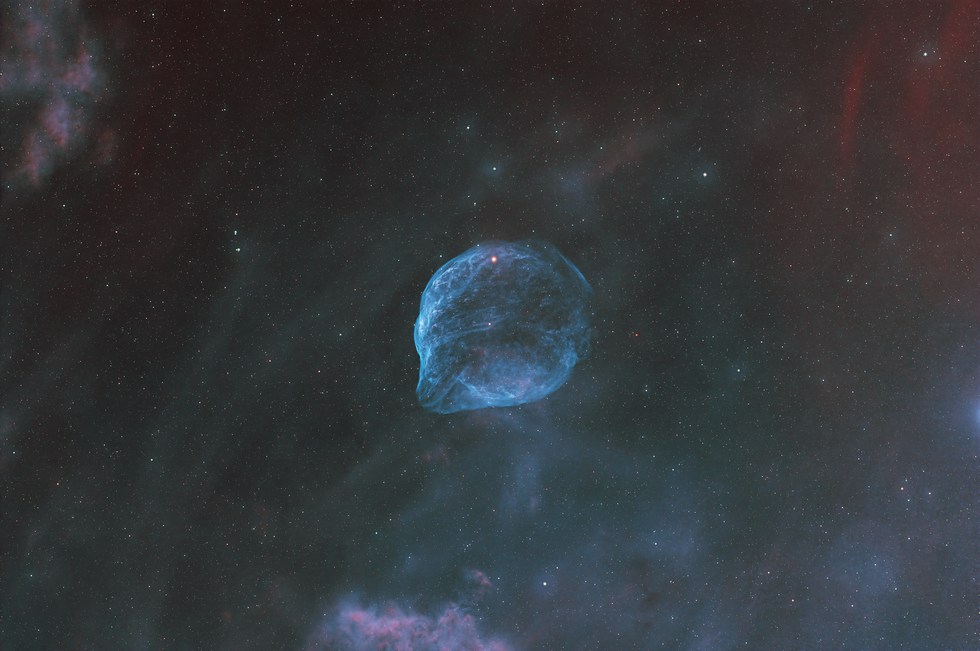 Dolphin Head Nebula