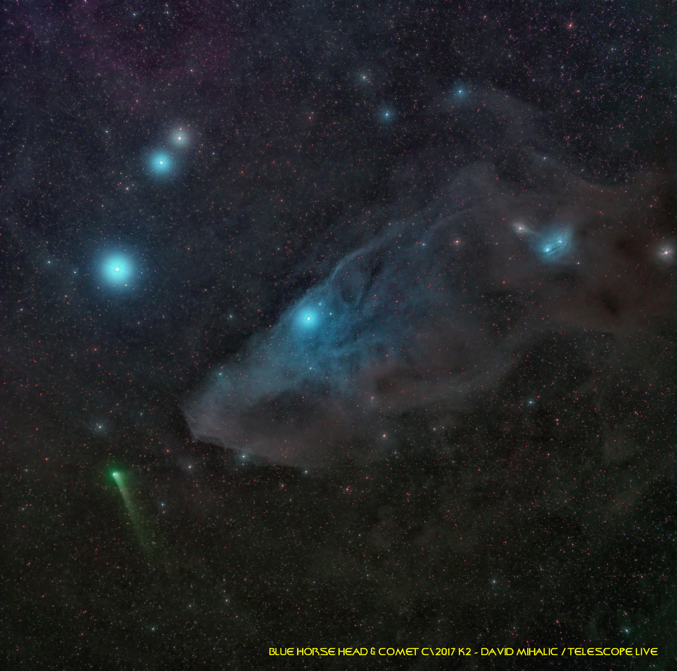 Blue Horse Head Nebula w/ C\2017 K2- redux