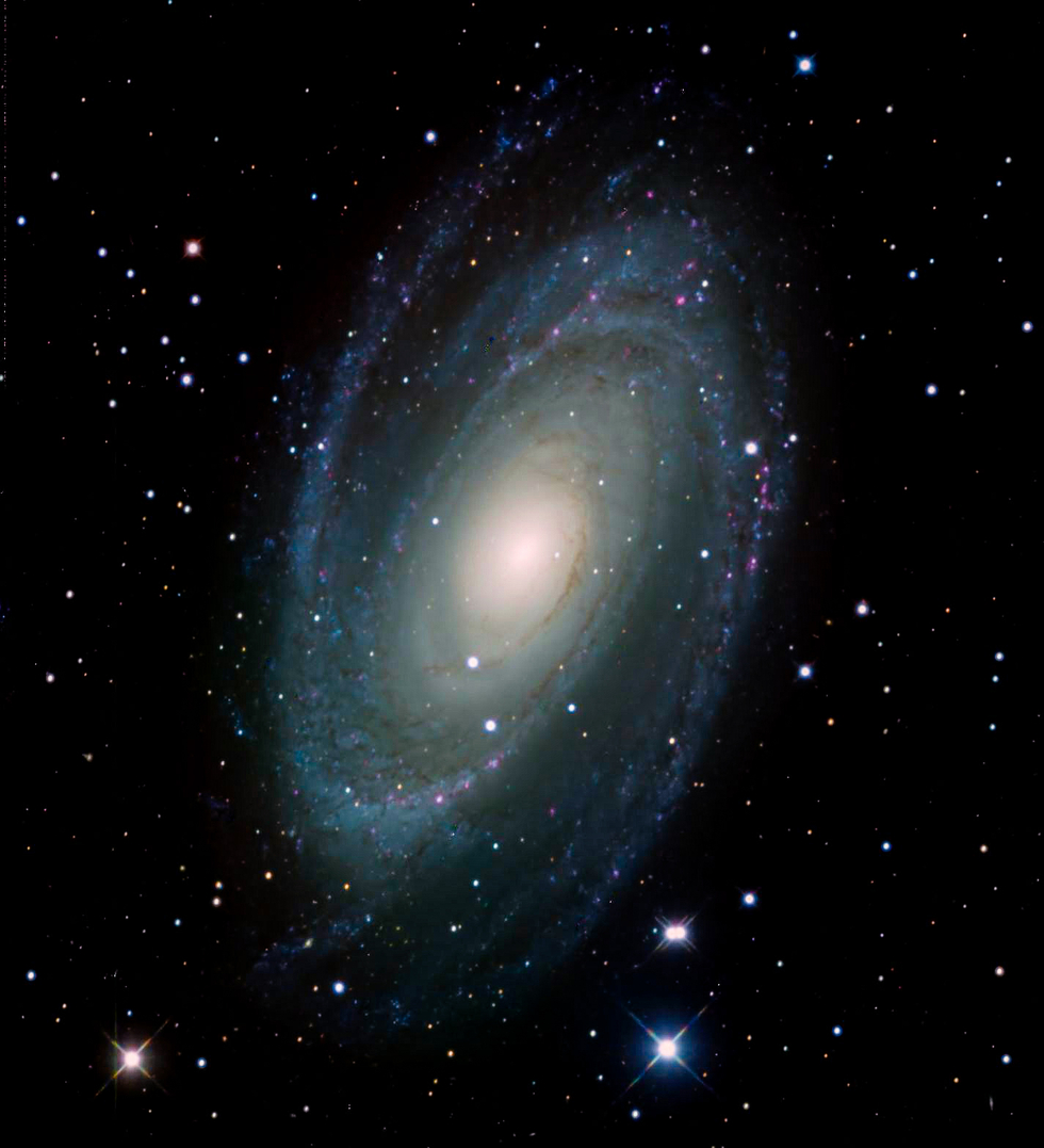 M 81 / Bode Galaxy
