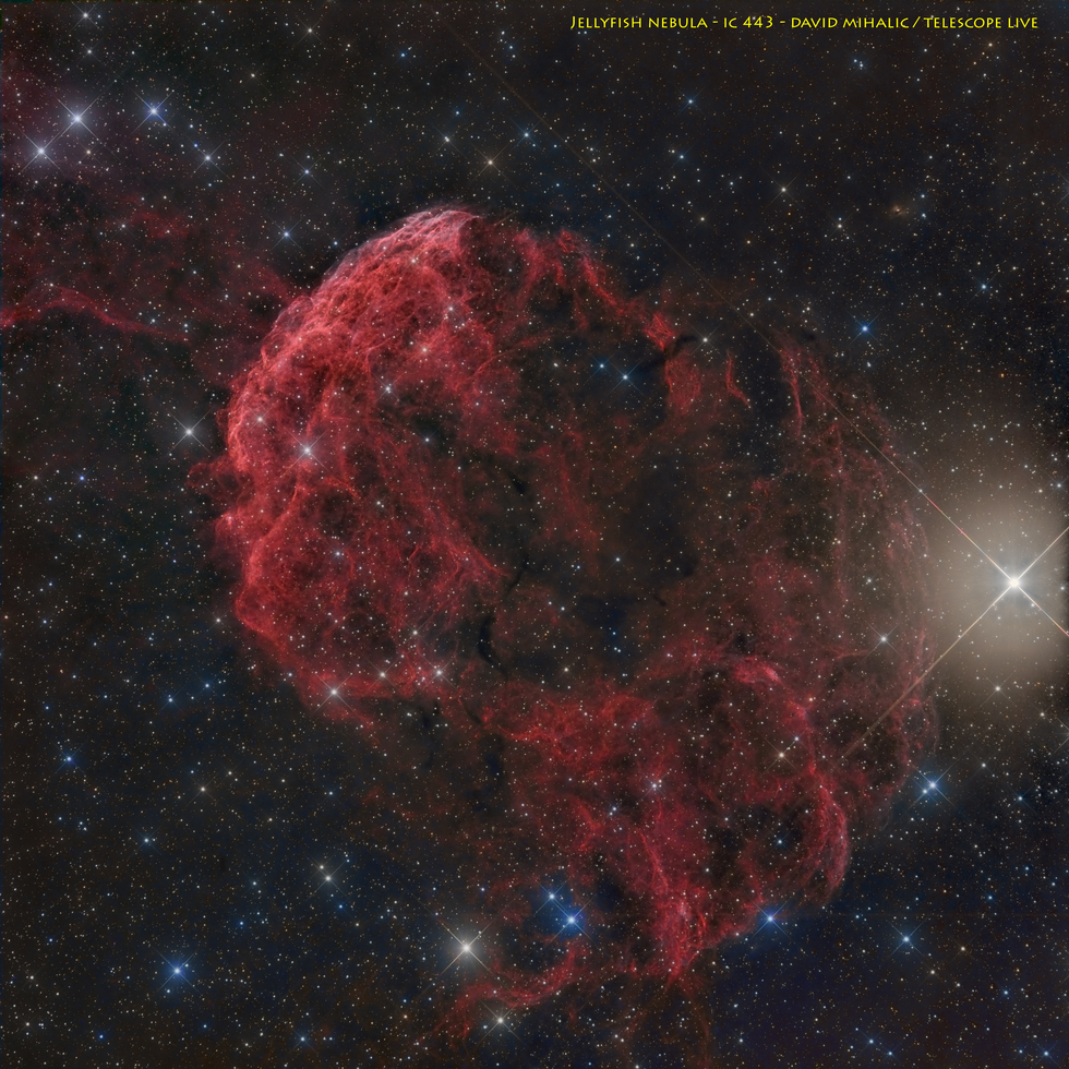 IC 443 Jellyfish supernova remnant