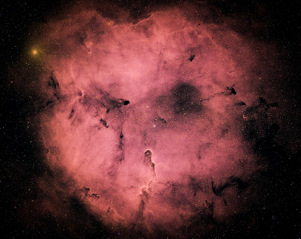 IC1396 Elephant Trunk Nebulae