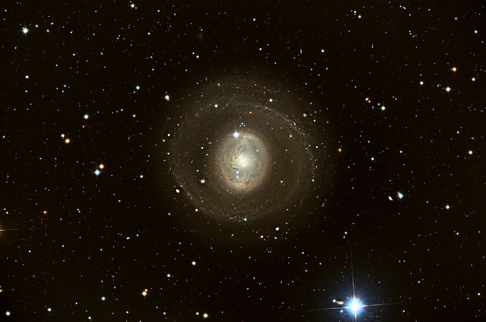 NGC1291 A ring Galaxy in Eridanus