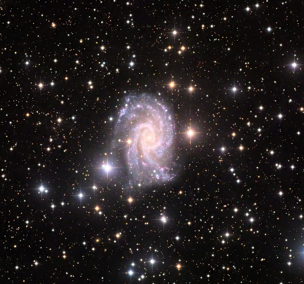 NGC 2835