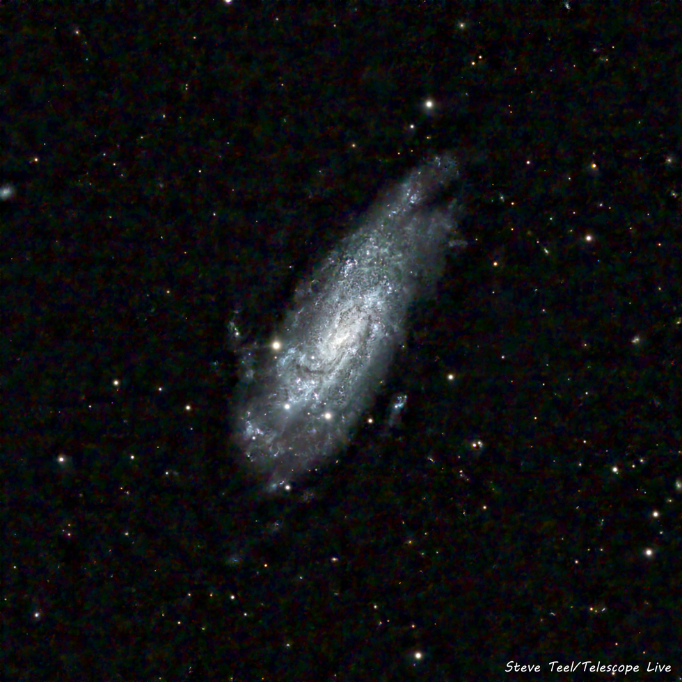 C36 (NGC4559)