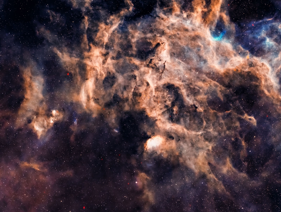 Close-up on CED 173, the Tulip Nebula