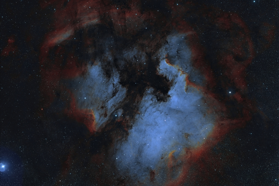 NGC 7000