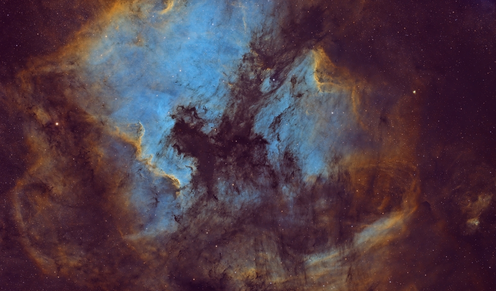 Cygnus: Stars, Nebulae & Wall