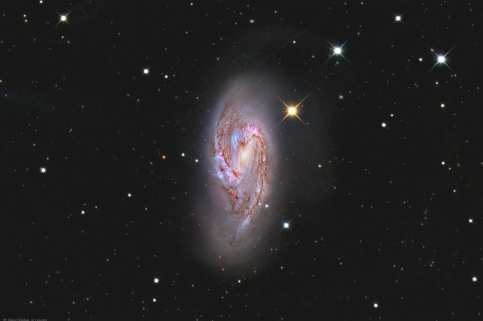 M66