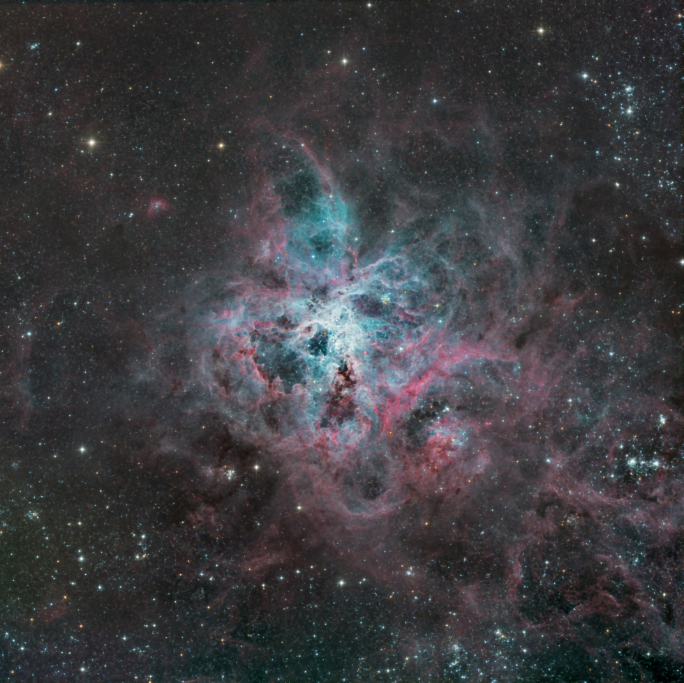 The Tarantula Nebula