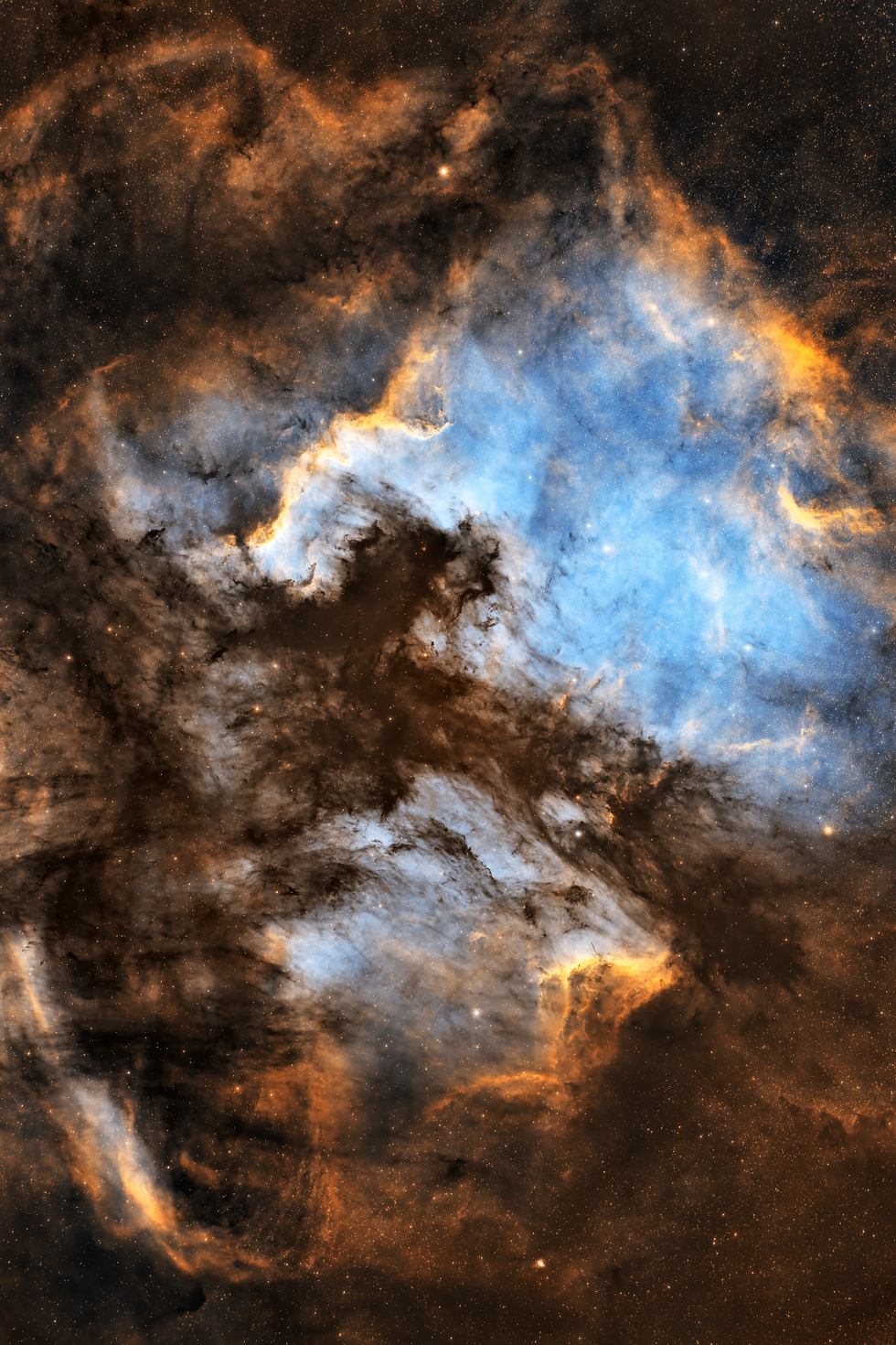 The North American Nebula