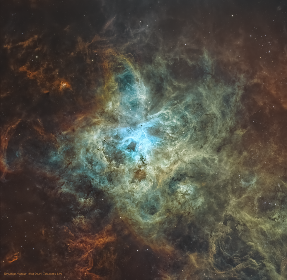 The Tarantula Nebula