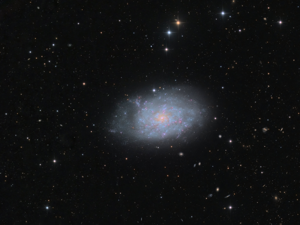 NGC7793 flocculent spiral galaxy | Telescope Live