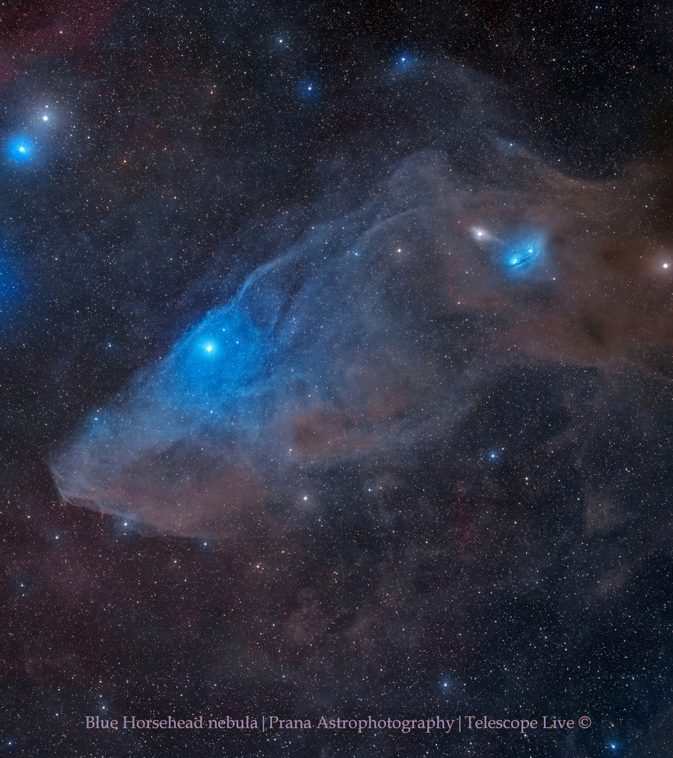 Blue Horsehead revisit in Deep Space!