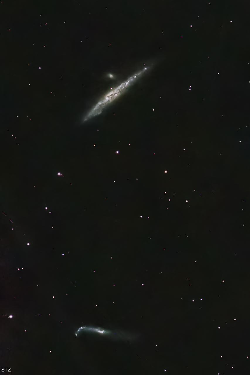 NGC4631 - The Whale Galaxy
