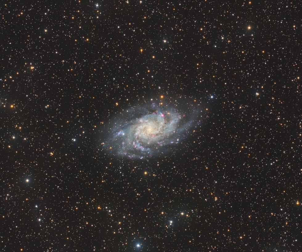 Messier 33 - Triangulum Galaxy | Telescope Live