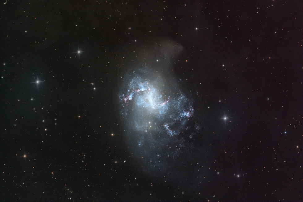 NGC 1313