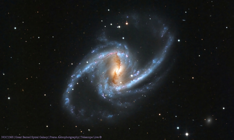NGC1365