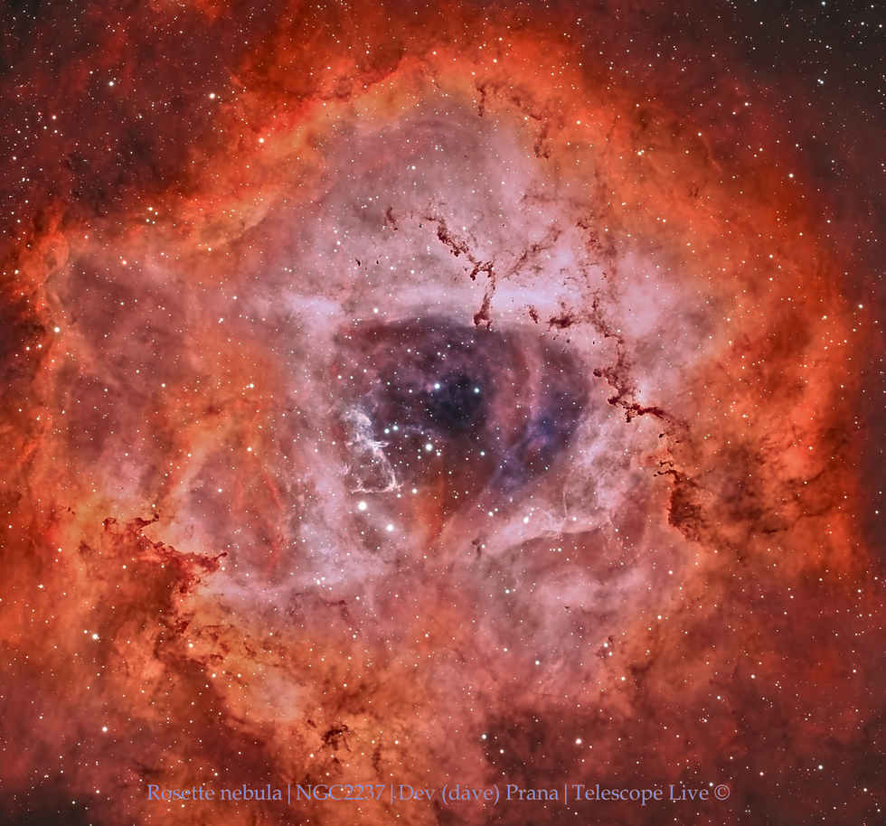 Rosette nebula Core (HOO tri-color blend)