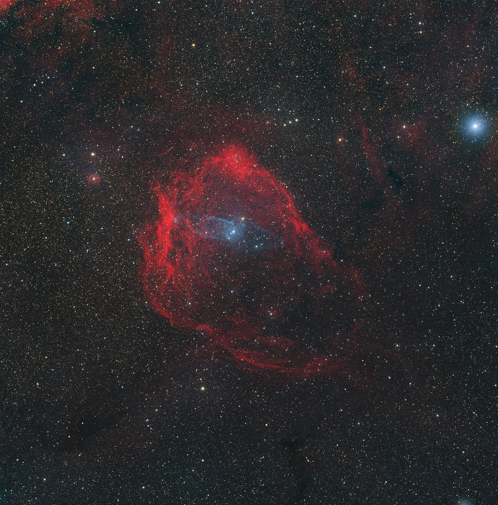 Squid and Flying Bat Nebula (Sh2-129)