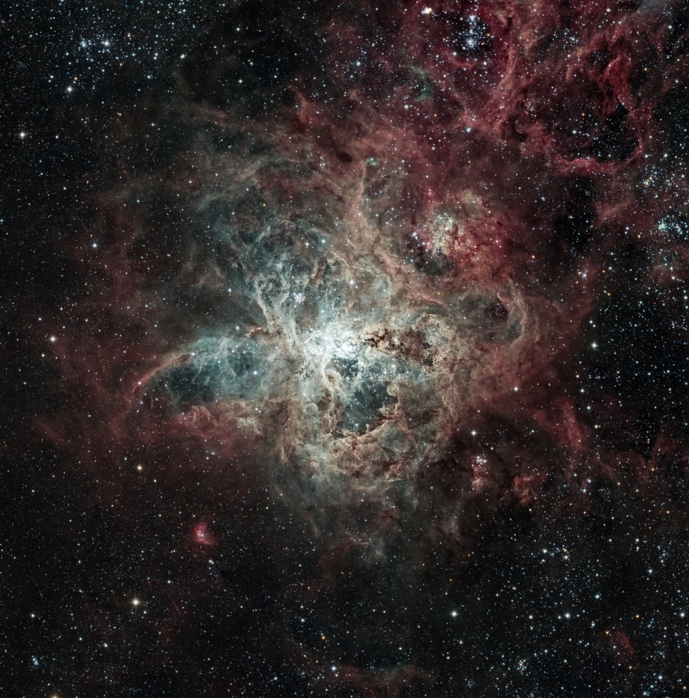 The Tarantula Nebula