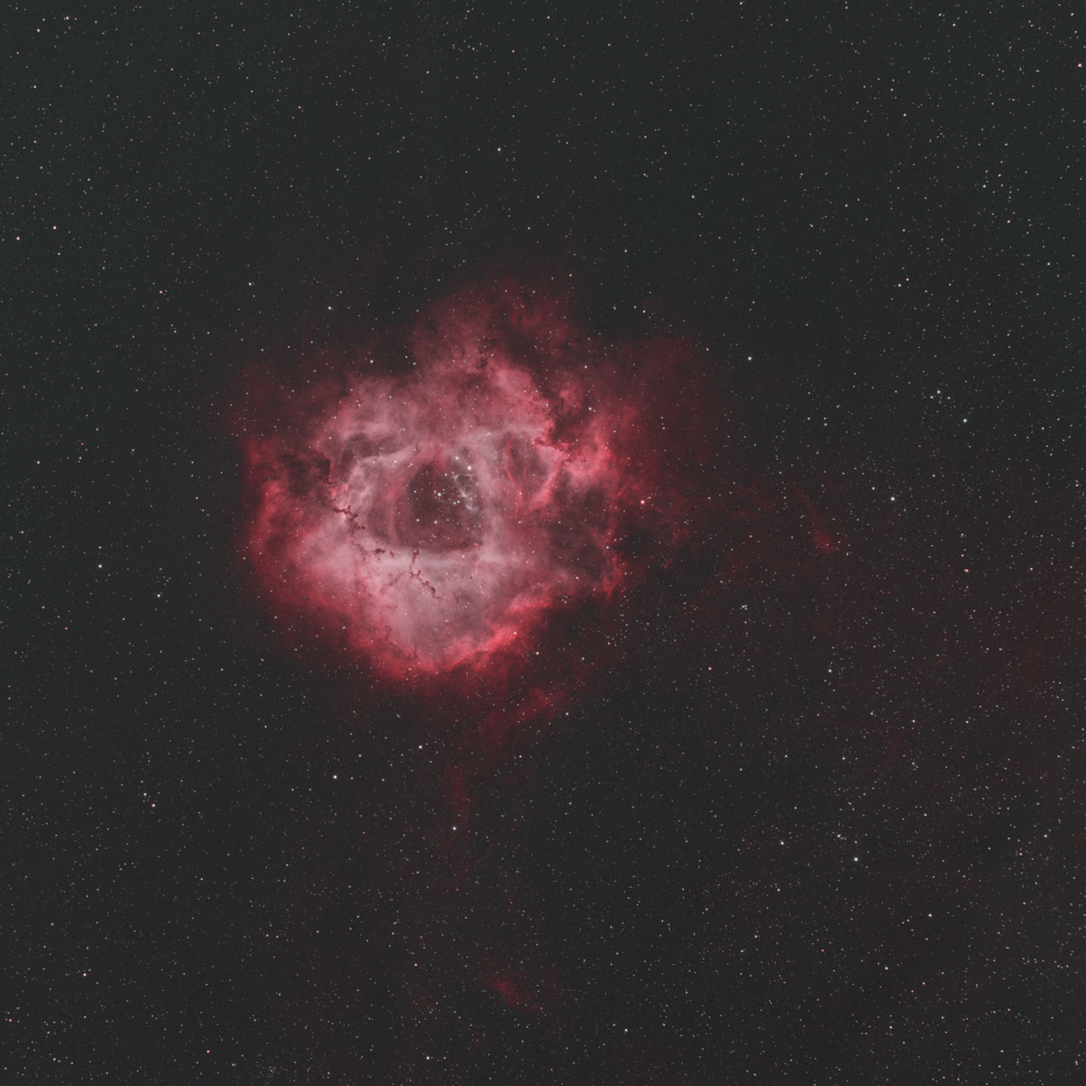 ROSETTE NEBULA