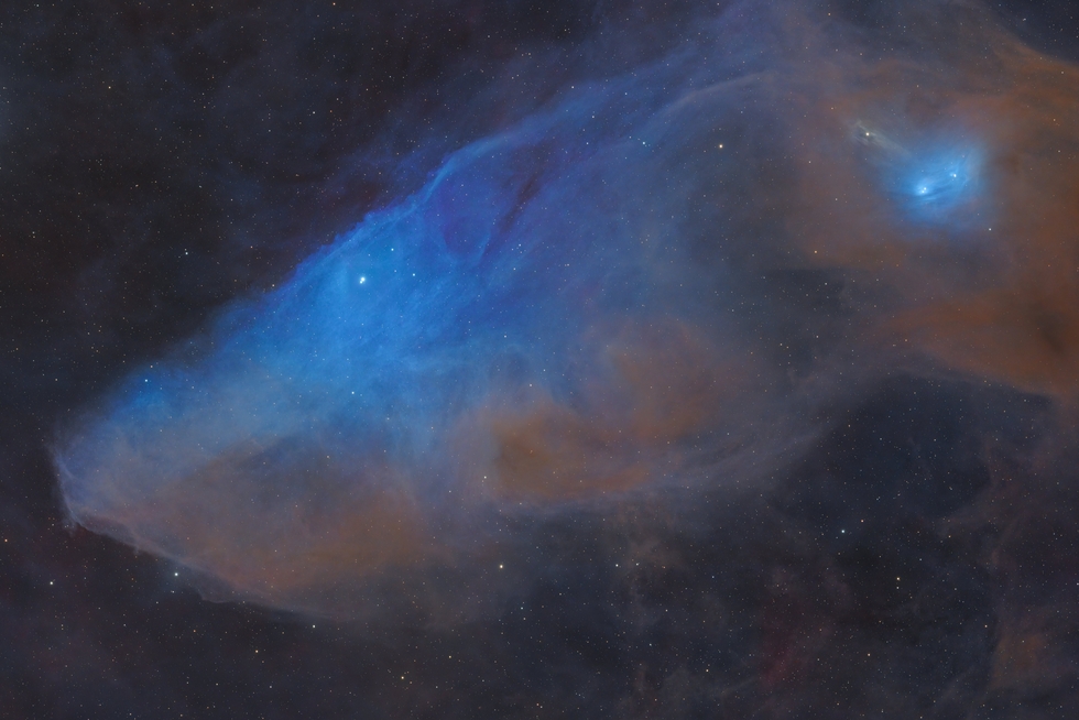 IC4592 - The Blue Horse Head