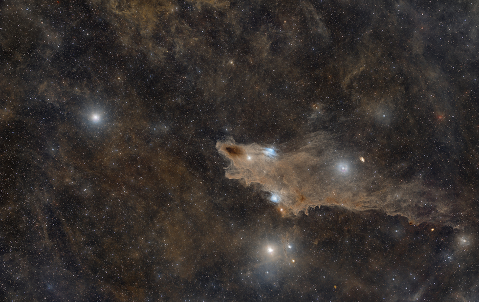 Dark Shark Nebula