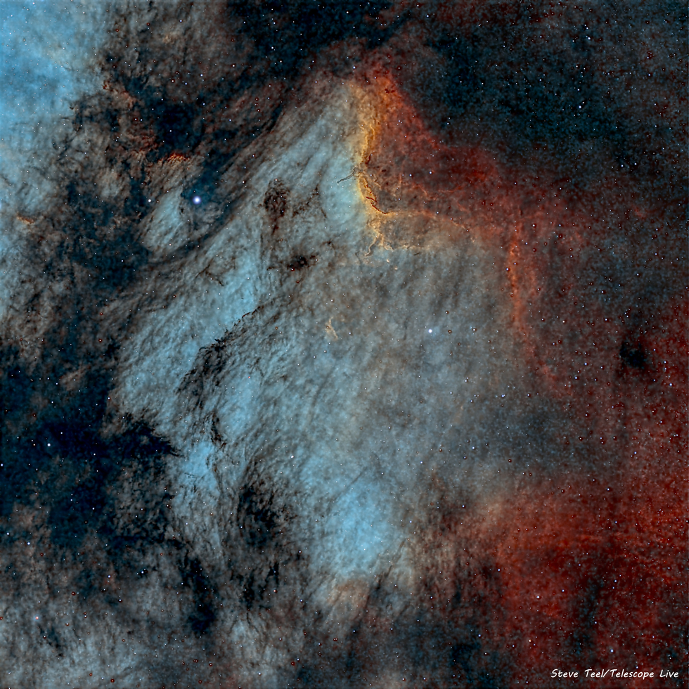 The Pelican Nebula