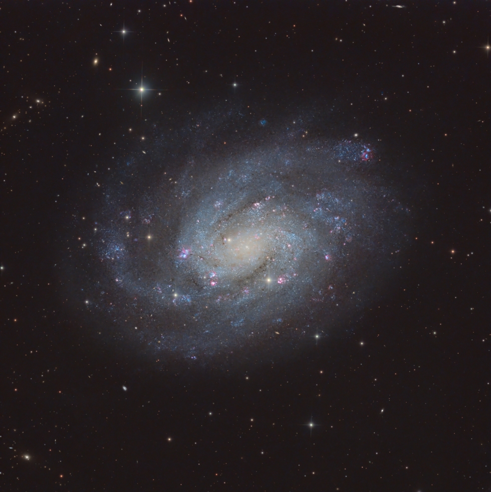 NGC300