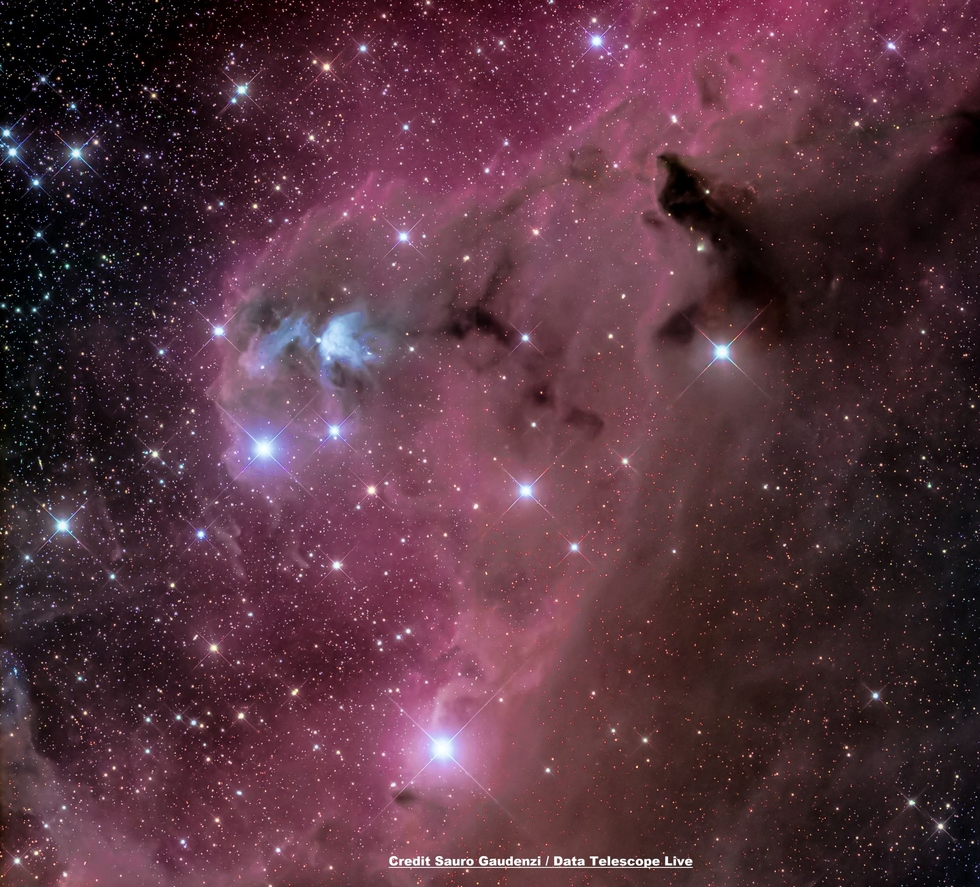 CEDERBLAD 51 IN ORION