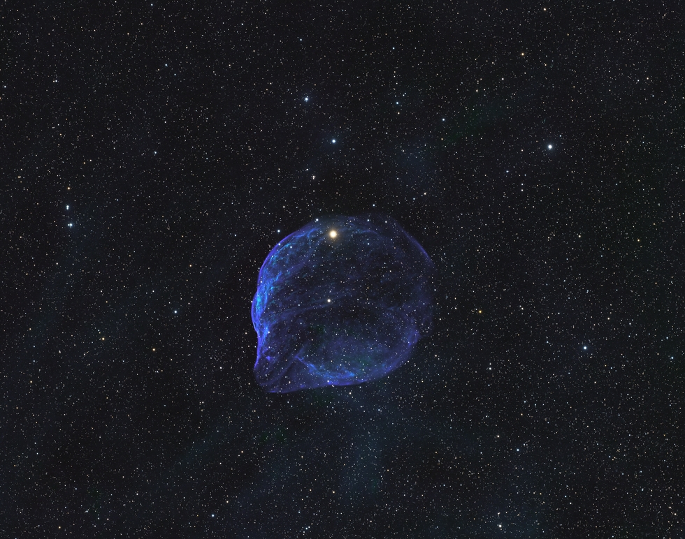 Dolphin_Head Nebula, SH2-308